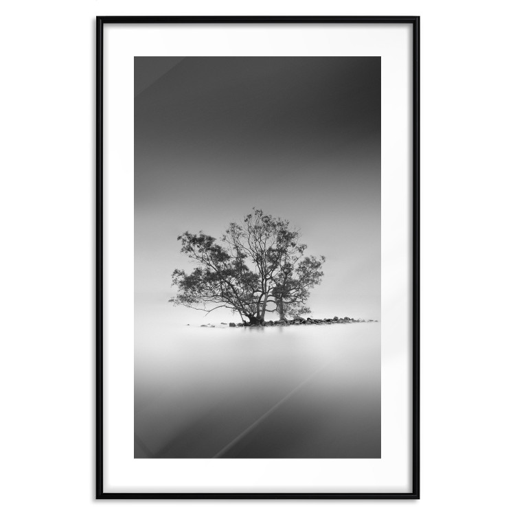 Poster Tree on an island - black and white landscape of a tranquil lake surface 114875 additionalImage 17