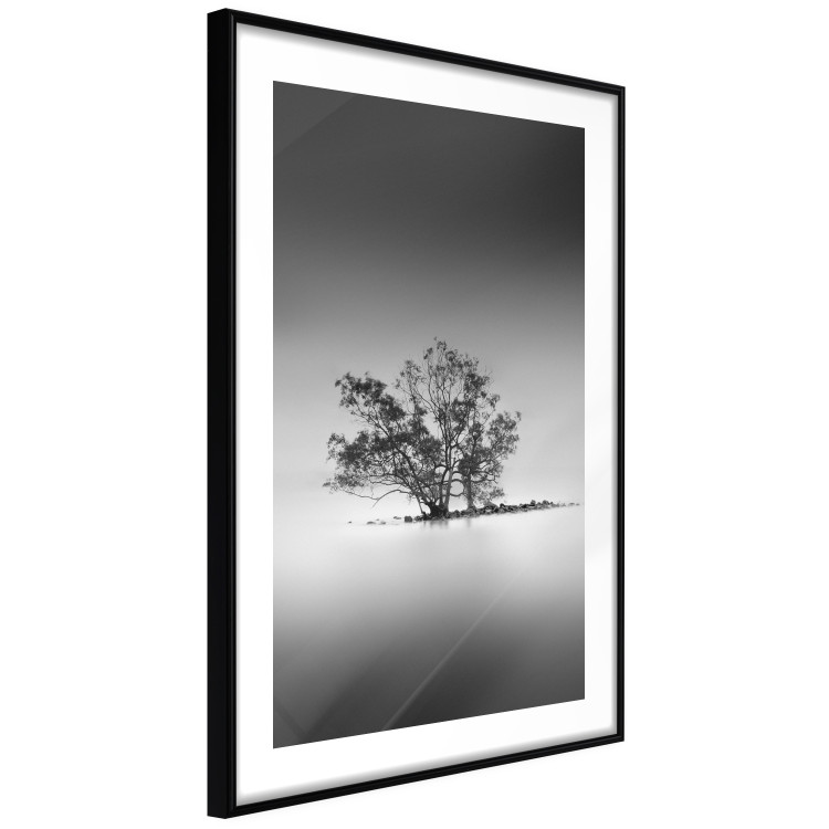 Poster Tree on an island - black and white landscape of a tranquil lake surface 114875 additionalImage 11