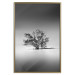 Poster Tree on an island - black and white landscape of a tranquil lake surface 114875 additionalThumb 16