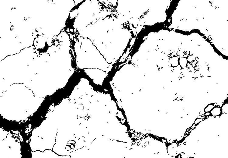 Poster Cracked earth - black and white composition with irregular texture 115075 additionalImage 8
