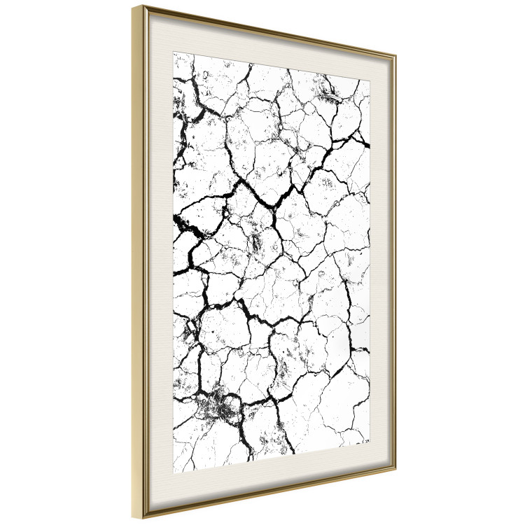 Poster Cracked earth - black and white composition with irregular texture 115075 additionalImage 2