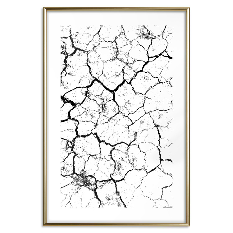 Poster Cracked earth - black and white composition with irregular texture 115075 additionalImage 16