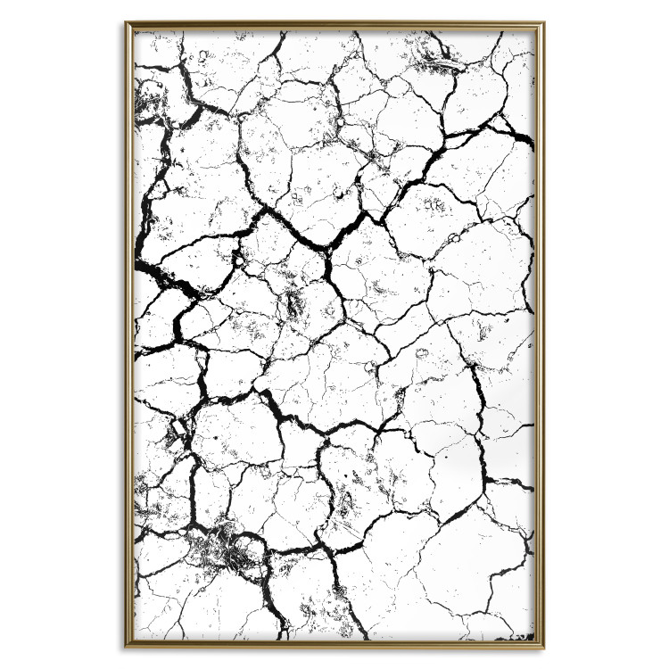 Poster Cracked earth - black and white composition with irregular texture 115075 additionalImage 16