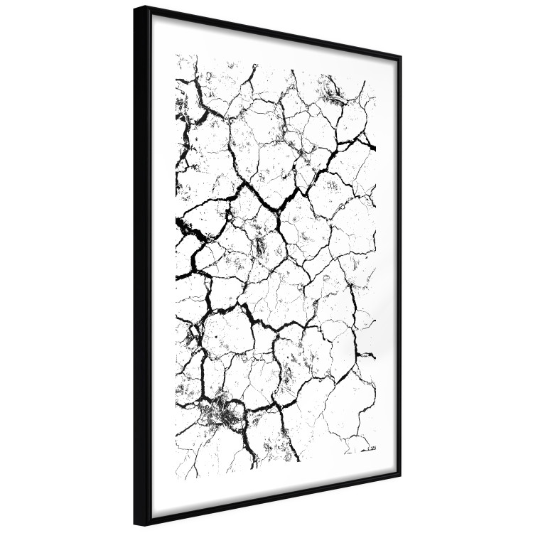 Poster Cracked earth - black and white composition with irregular texture 115075 additionalImage 10