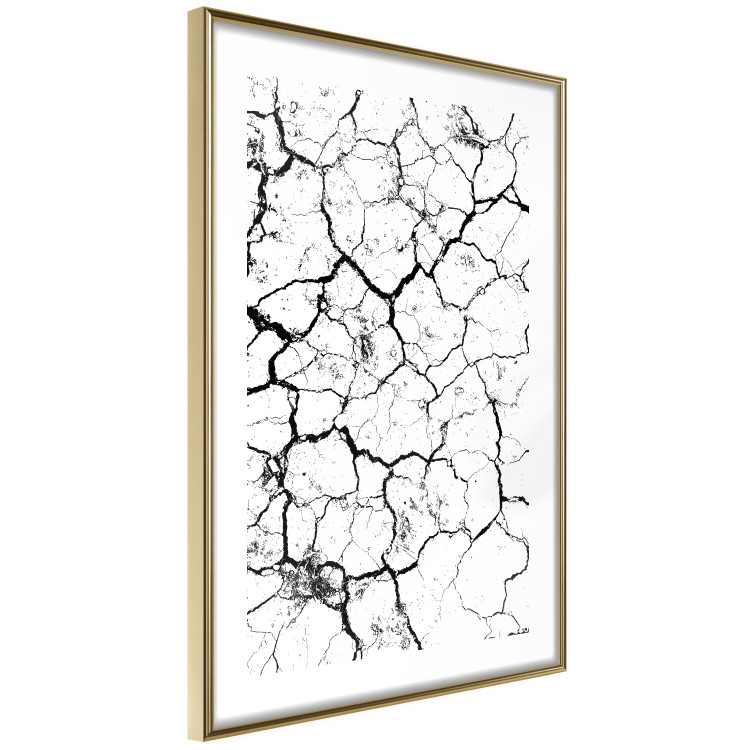 Poster Cracked earth - black and white composition with irregular texture 115075 additionalImage 5