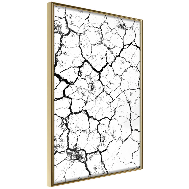 Poster Cracked earth - black and white composition with irregular texture 115075 additionalImage 13