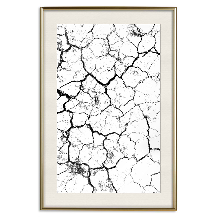 Poster Cracked earth - black and white composition with irregular texture 115075 additionalImage 19