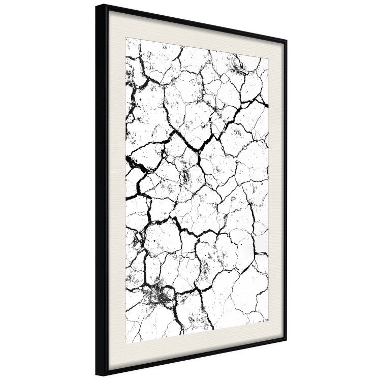 Poster Cracked earth - black and white composition with irregular texture 115075 additionalImage 3