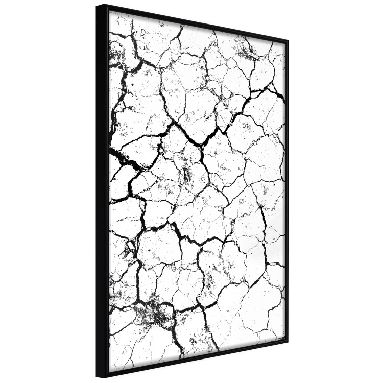 Wall art collection Botanical Collection 124718 additionalImage 3