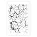 Poster Cracked earth - black and white composition with irregular texture 115075 additionalThumb 19