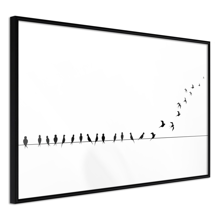 Wall Poster Let's Fly! - black and white composition with sitting and flying birds 115175 additionalImage 12