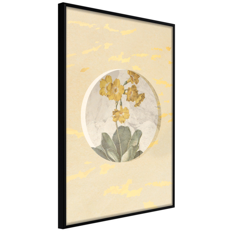 Poster Flower in Circle - plant composition on a background in shades of yellow and gold 116675 additionalImage 10