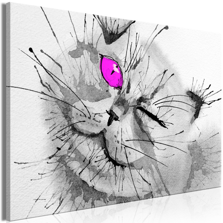 Canvas Print Grey cat with a pink eye - animal theme in grey colours 123375 additionalImage 2