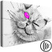 Canvas Print Grey cat with a pink eye - animal theme in grey colours 123375 additionalThumb 6