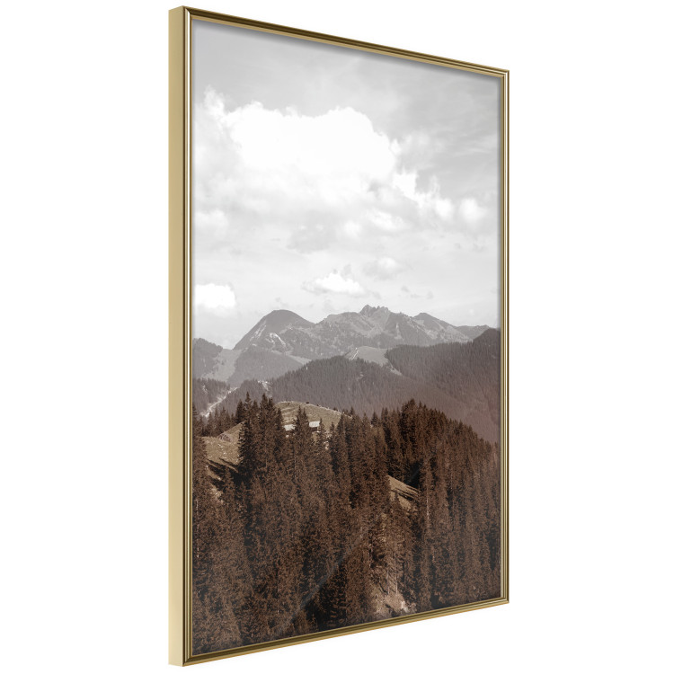 Poster Landscape - valley landscape with dense forest against mountains and cloudy sky 124475 additionalImage 12