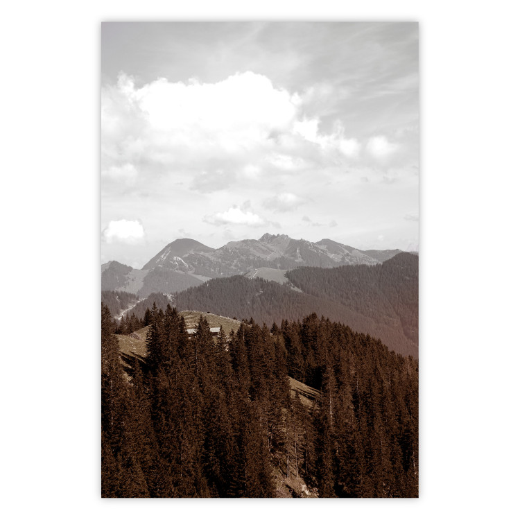 Poster Landscape - valley landscape with dense forest against mountains and cloudy sky 124475