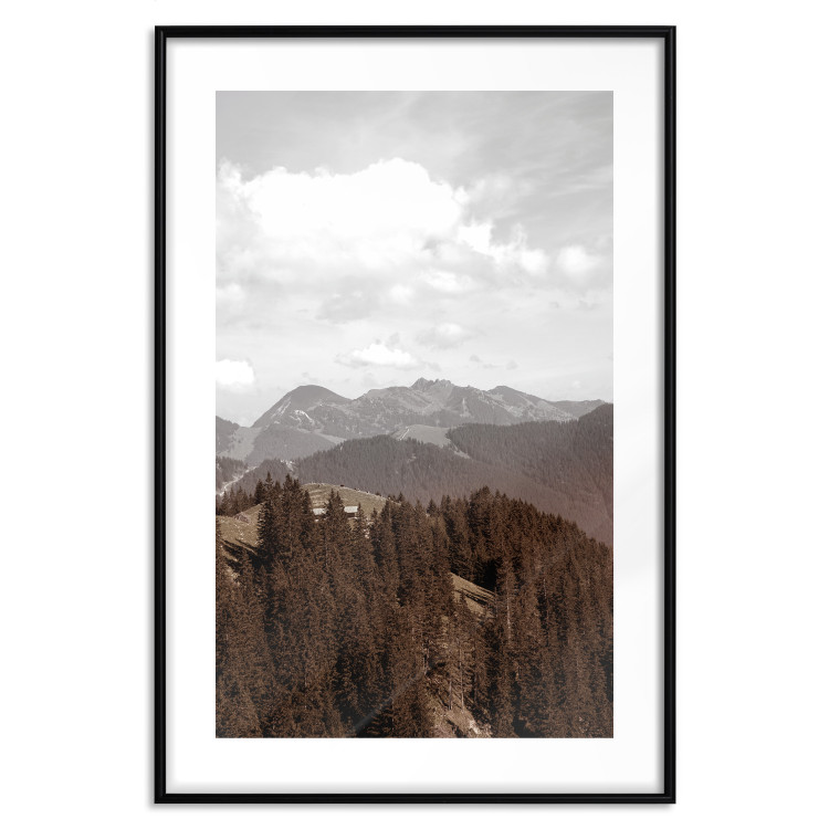 Poster Landscape - valley landscape with dense forest against mountains and cloudy sky 124475 additionalImage 17