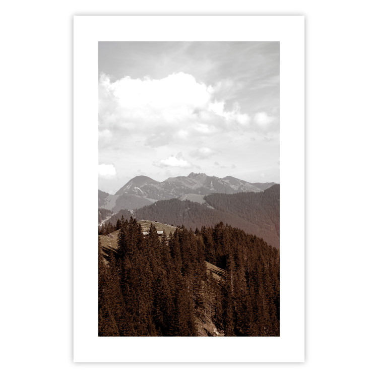 Poster Landscape - valley landscape with dense forest against mountains and cloudy sky 124475 additionalImage 19