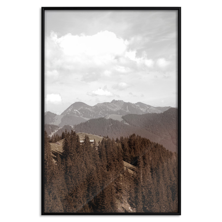 Poster Landscape - valley landscape with dense forest against mountains and cloudy sky 124475 additionalImage 18