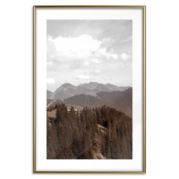 Poster Landscape - valley landscape with dense forest against mountains and cloudy sky 124475 additionalImage 16
