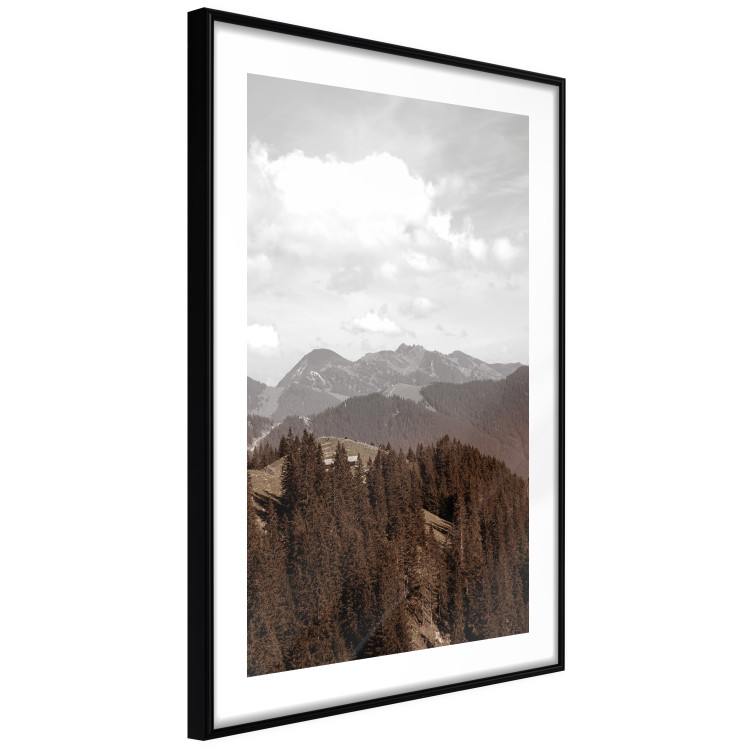 Poster Landscape - valley landscape with dense forest against mountains and cloudy sky 124475 additionalImage 12