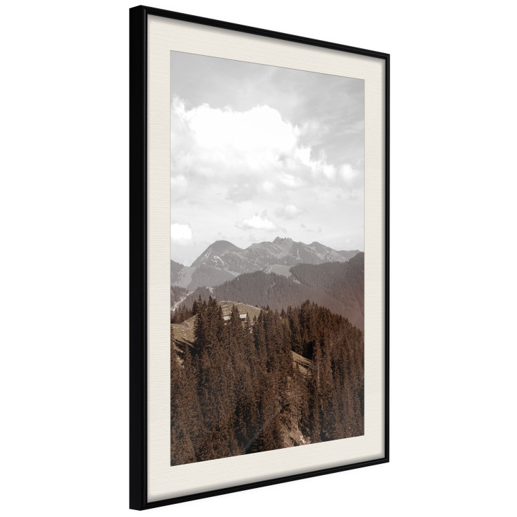 Poster Landscape - valley landscape with dense forest against mountains and cloudy sky 124475 additionalImage 14