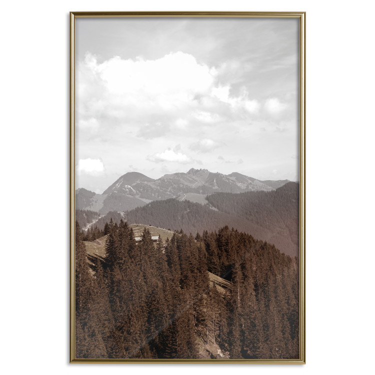 Poster Landscape - valley landscape with dense forest against mountains and cloudy sky 124475 additionalImage 20