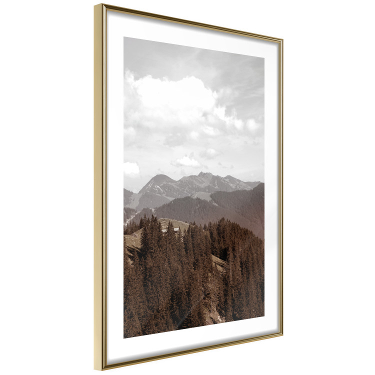 Poster Landscape - valley landscape with dense forest against mountains and cloudy sky 124475 additionalImage 11