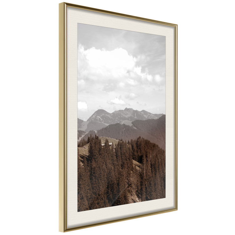 Poster Landscape - valley landscape with dense forest against mountains and cloudy sky 124475 additionalImage 8