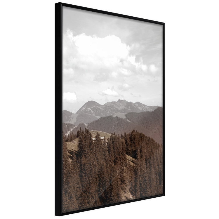 Poster Landscape - valley landscape with dense forest against mountains and cloudy sky 124475 additionalImage 2