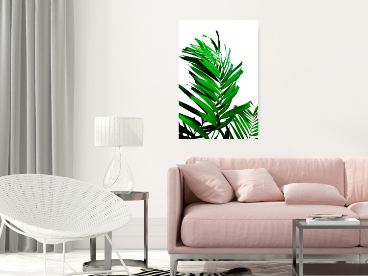 Wall Poster Juicy Leaf - green leaf of a plant on a contrasting white background 125175 additionalImage 23