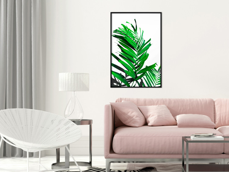 Wall Poster Juicy Leaf - green leaf of a plant on a contrasting white background 125175 additionalImage 3