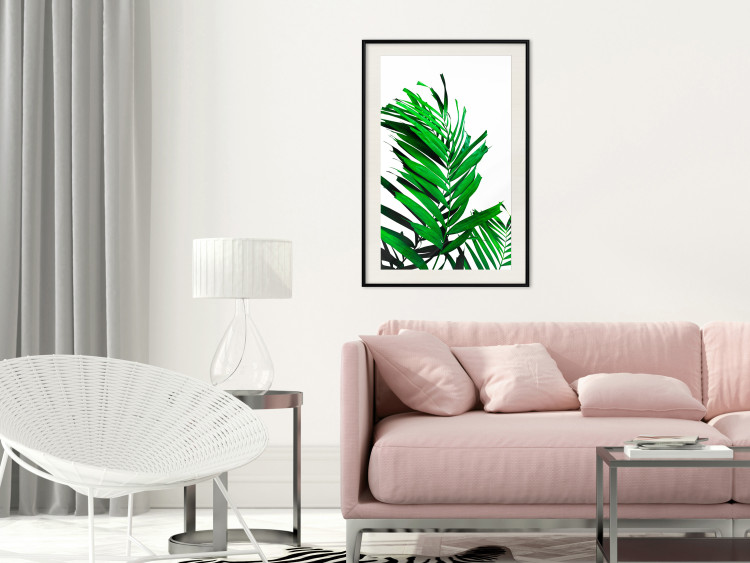 Wall Poster Juicy Leaf - green leaf of a plant on a contrasting white background 125175 additionalImage 22