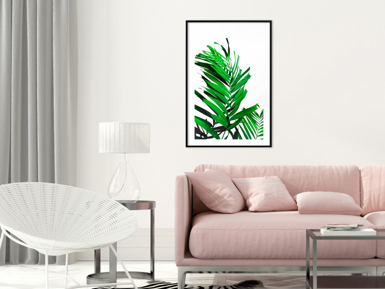 Wall Poster Juicy Leaf - green leaf of a plant on a contrasting white background 125175 additionalImage 4