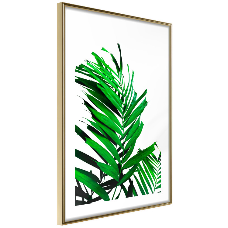 Wall Poster Juicy Leaf - green leaf of a plant on a contrasting white background 125175 additionalImage 8