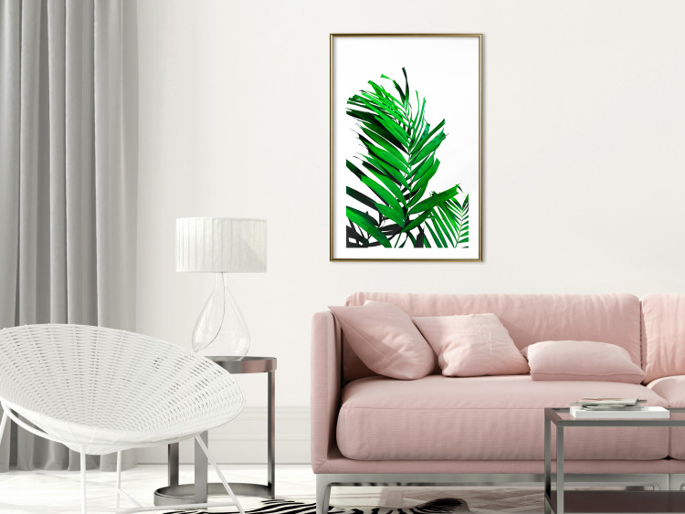 Wall Poster Juicy Leaf - green leaf of a plant on a contrasting white background 125175 additionalImage 13