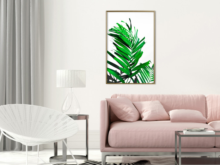 Wall Poster Juicy Leaf - green leaf of a plant on a contrasting white background 125175 additionalImage 5