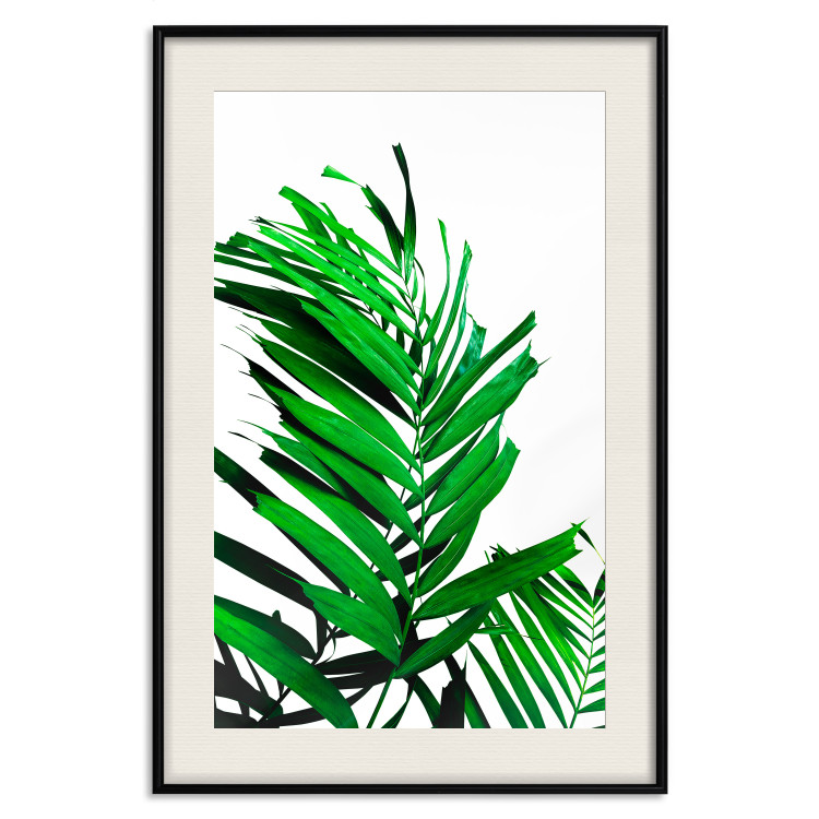 Wall Poster Juicy Leaf - green leaf of a plant on a contrasting white background 125175 additionalImage 18