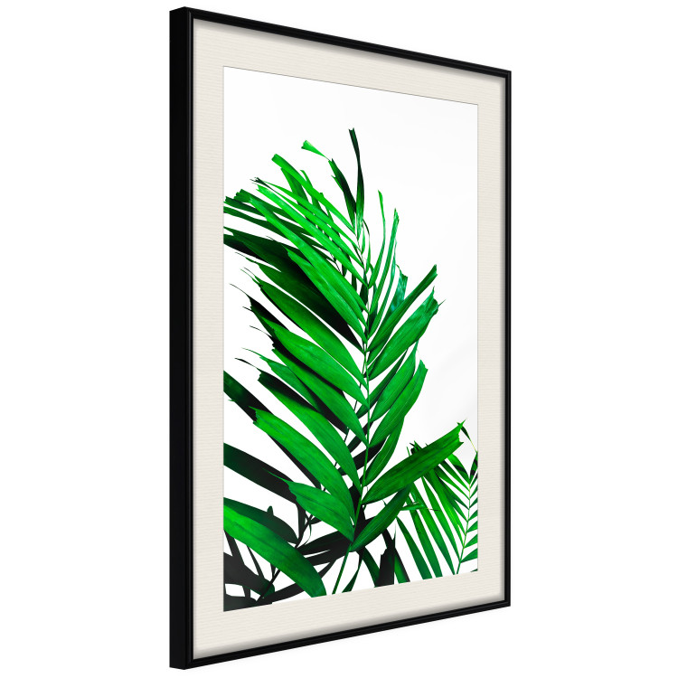 Wall Poster Juicy Leaf - green leaf of a plant on a contrasting white background 125175 additionalImage 3