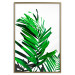 Wall Poster Juicy Leaf - green leaf of a plant on a contrasting white background 125175 additionalThumb 20