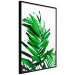 Wall Poster Juicy Leaf - green leaf of a plant on a contrasting white background 125175 additionalThumb 12