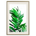 Wall Poster Juicy Leaf - green leaf of a plant on a contrasting white background 125175 additionalThumb 19
