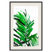 Wall Poster Juicy Leaf - green leaf of a plant on a contrasting white background 125175 additionalThumb 18