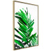 Wall Poster Juicy Leaf - green leaf of a plant on a contrasting white background 125175 additionalThumb 14