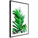 Wall Poster Juicy Leaf - green leaf of a plant on a contrasting white background 125175 additionalThumb 13