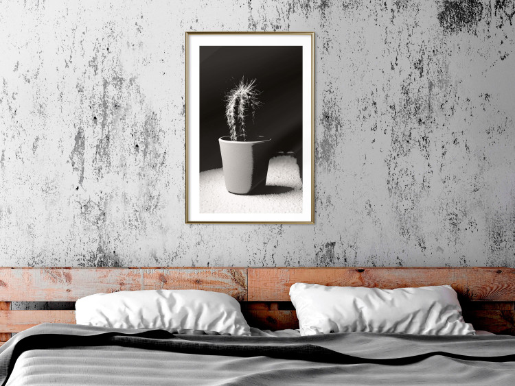 Poster Disheveled Cactus - black and white photograph of a tropical cactus 125275 additionalImage 13