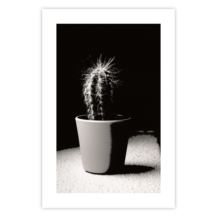 Poster Disheveled Cactus - black and white photograph of a tropical cactus 125275 additionalImage 19