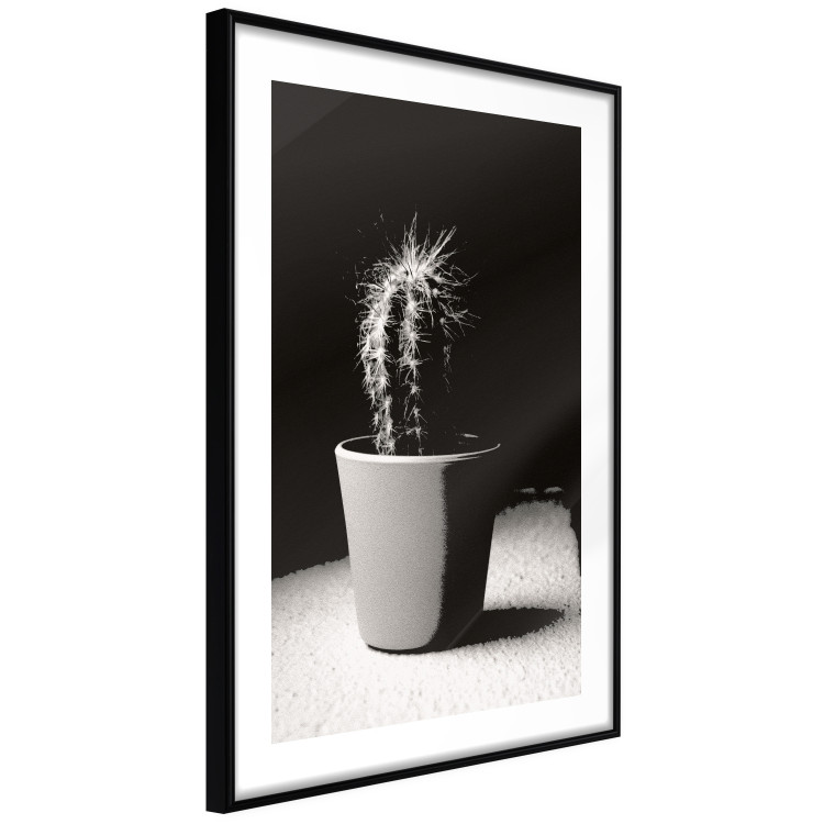 Poster Disheveled Cactus - black and white photograph of a tropical cactus 125275 additionalImage 11