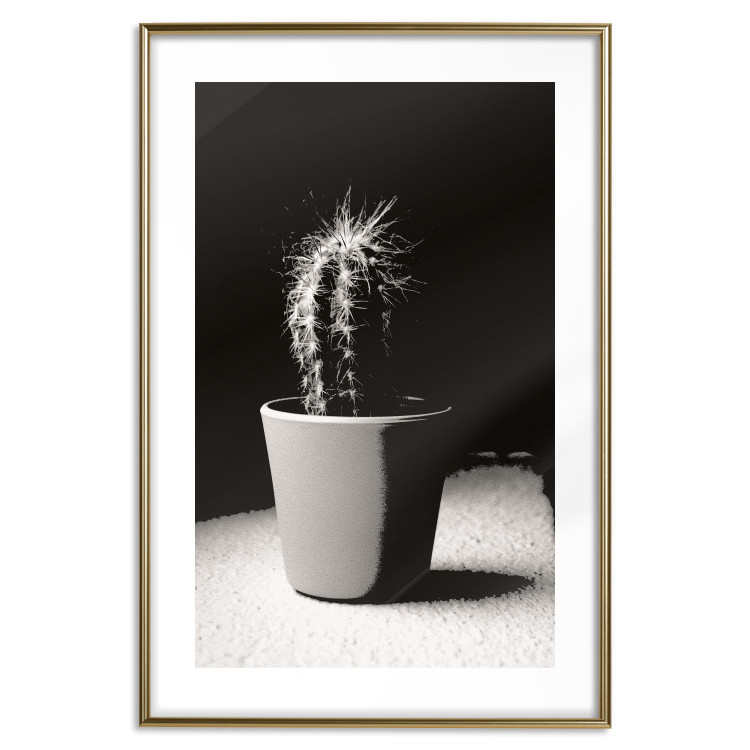 Poster Disheveled Cactus - black and white photograph of a tropical cactus 125275 additionalImage 14