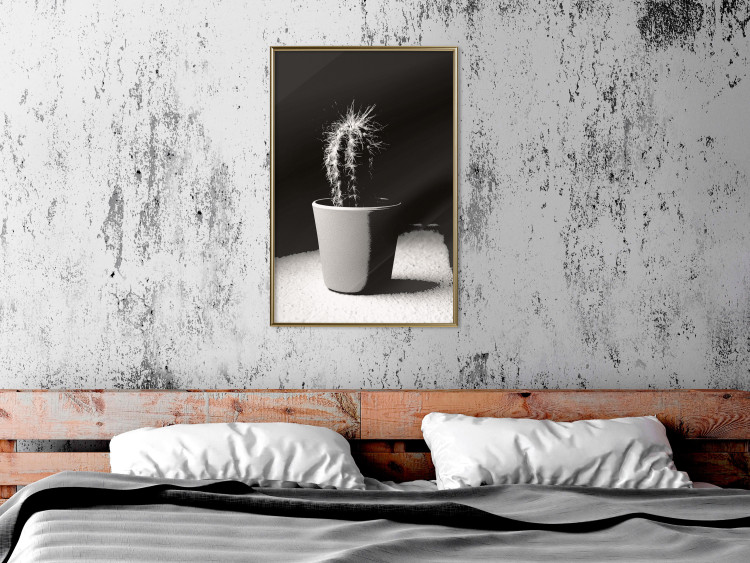 Poster Disheveled Cactus - black and white photograph of a tropical cactus 125275 additionalImage 5